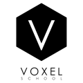 Logo Voxel School